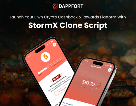 stormX clone script