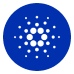 Cardano